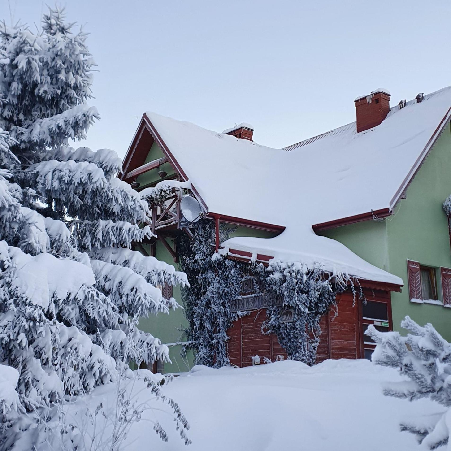 Chata Zieleniecka Bed and Breakfast Duszniki Zdrój Eksteriør billede