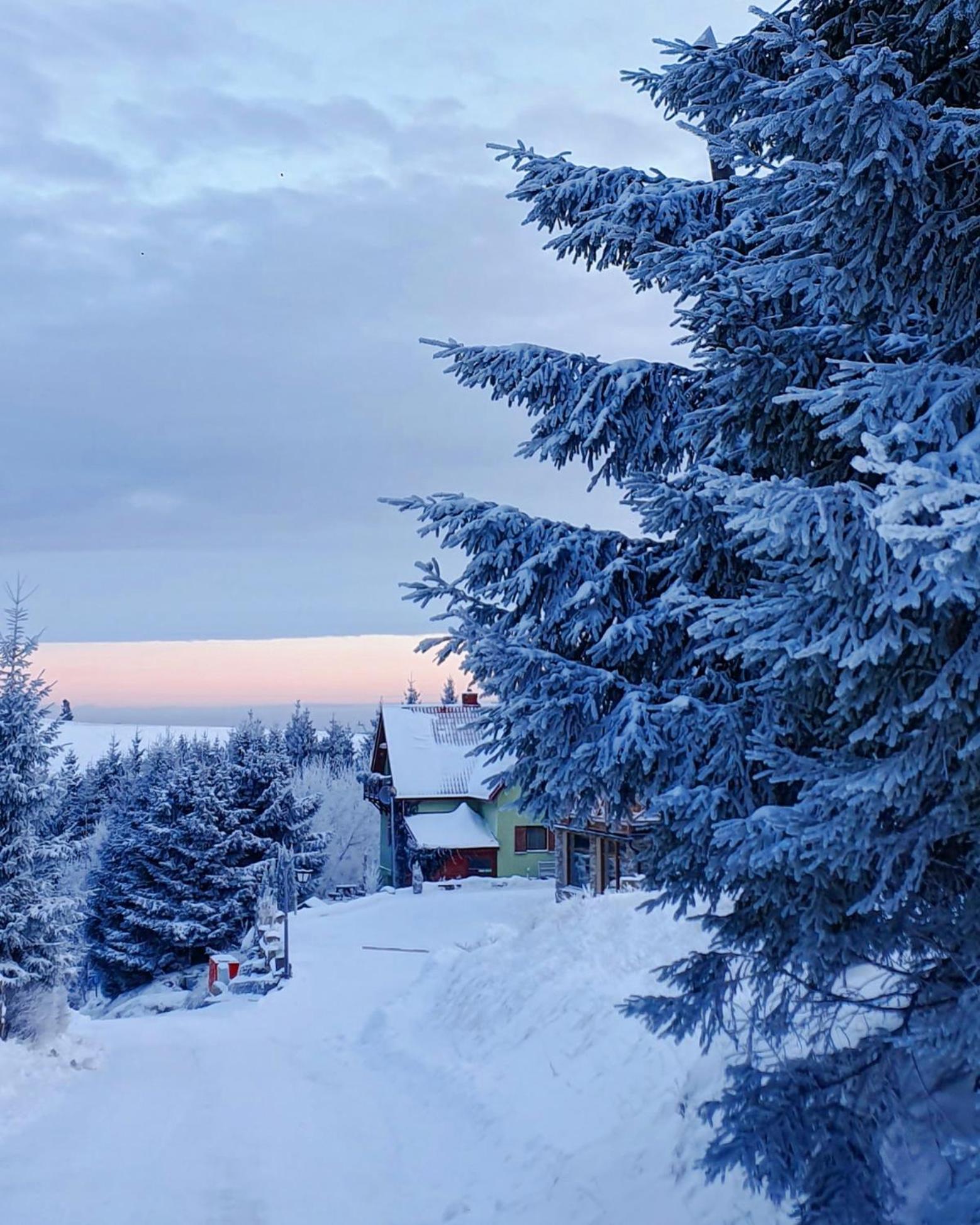 Chata Zieleniecka Bed and Breakfast Duszniki Zdrój Eksteriør billede