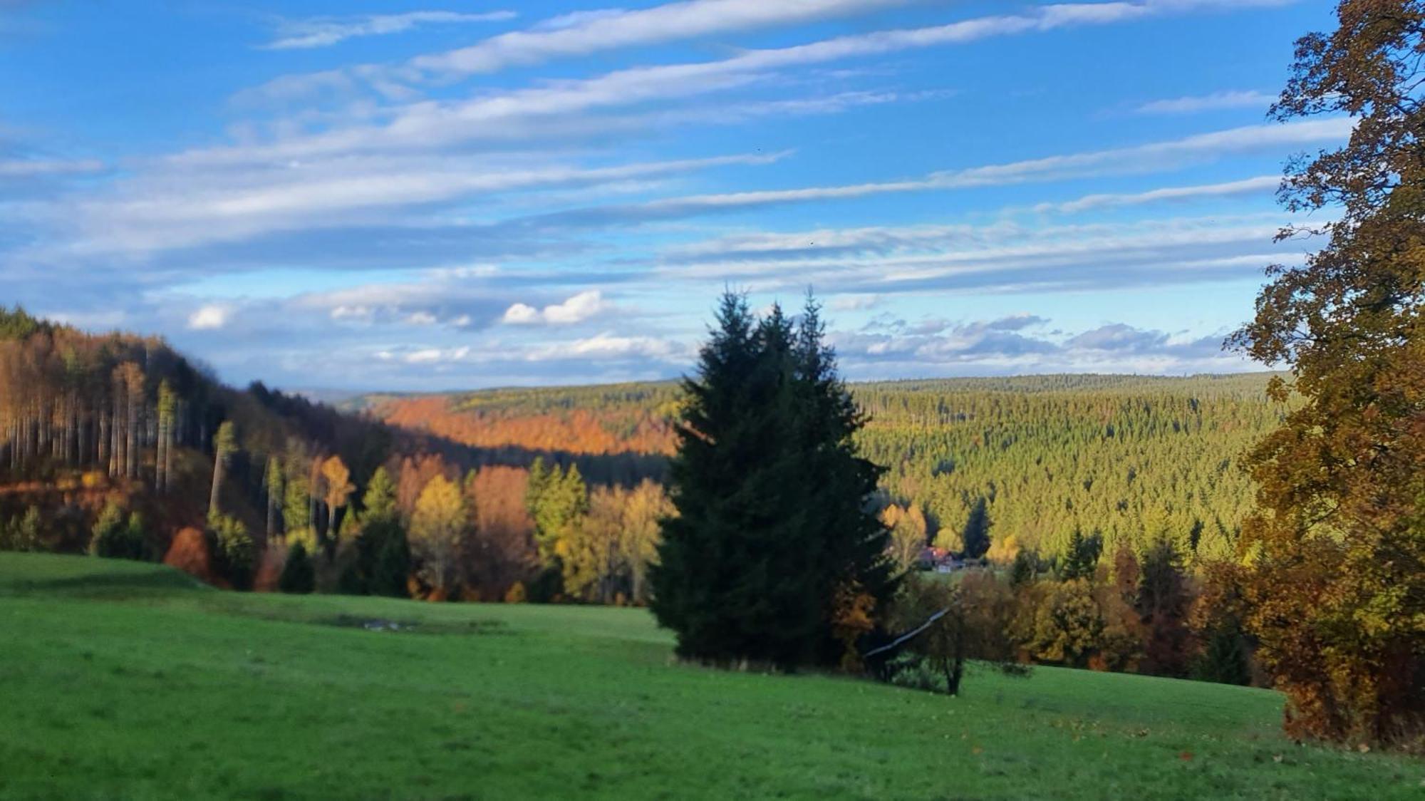 Chata Zieleniecka Bed and Breakfast Duszniki Zdrój Eksteriør billede