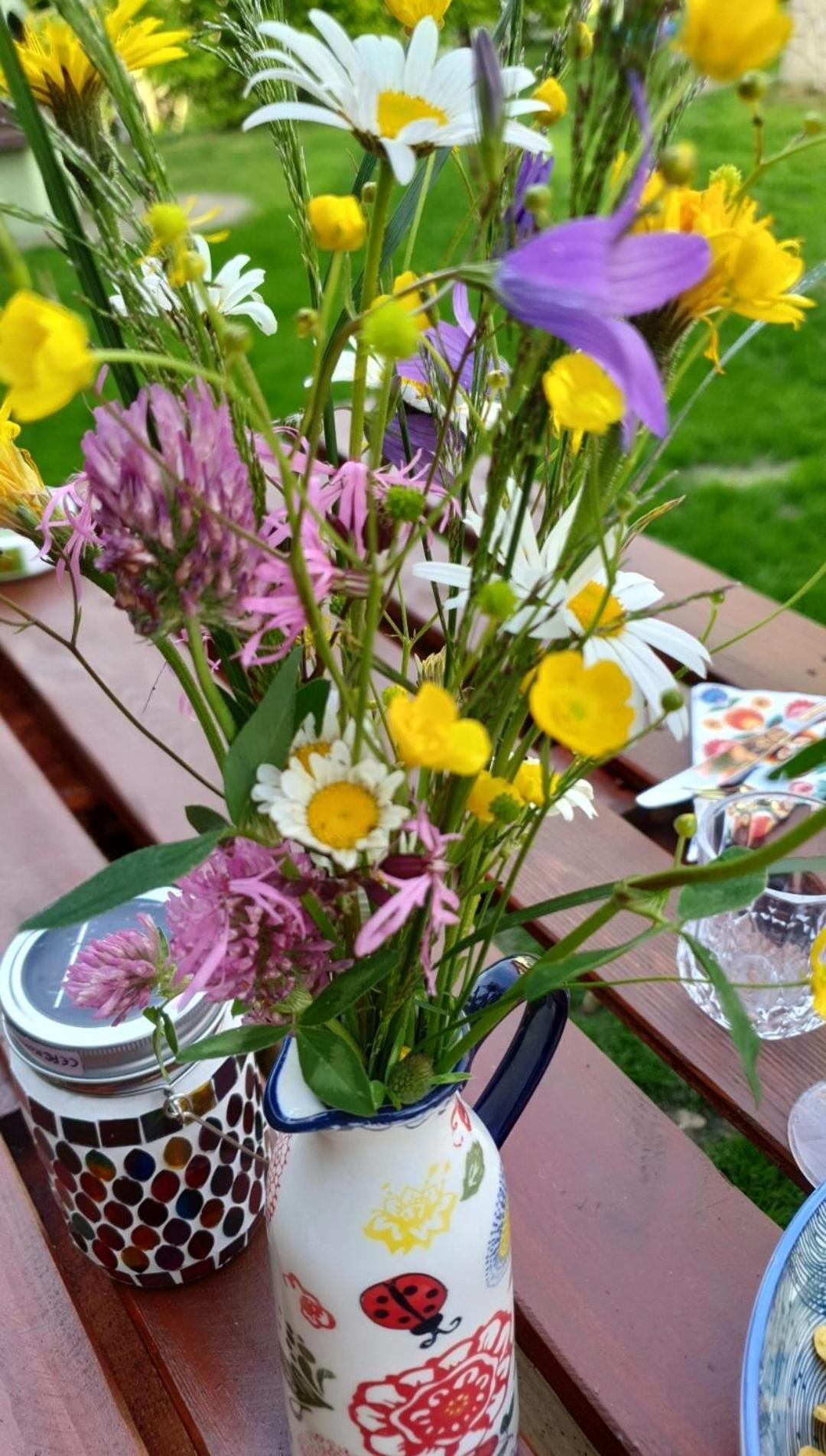 Chata Zieleniecka Bed and Breakfast Duszniki Zdrój Eksteriør billede