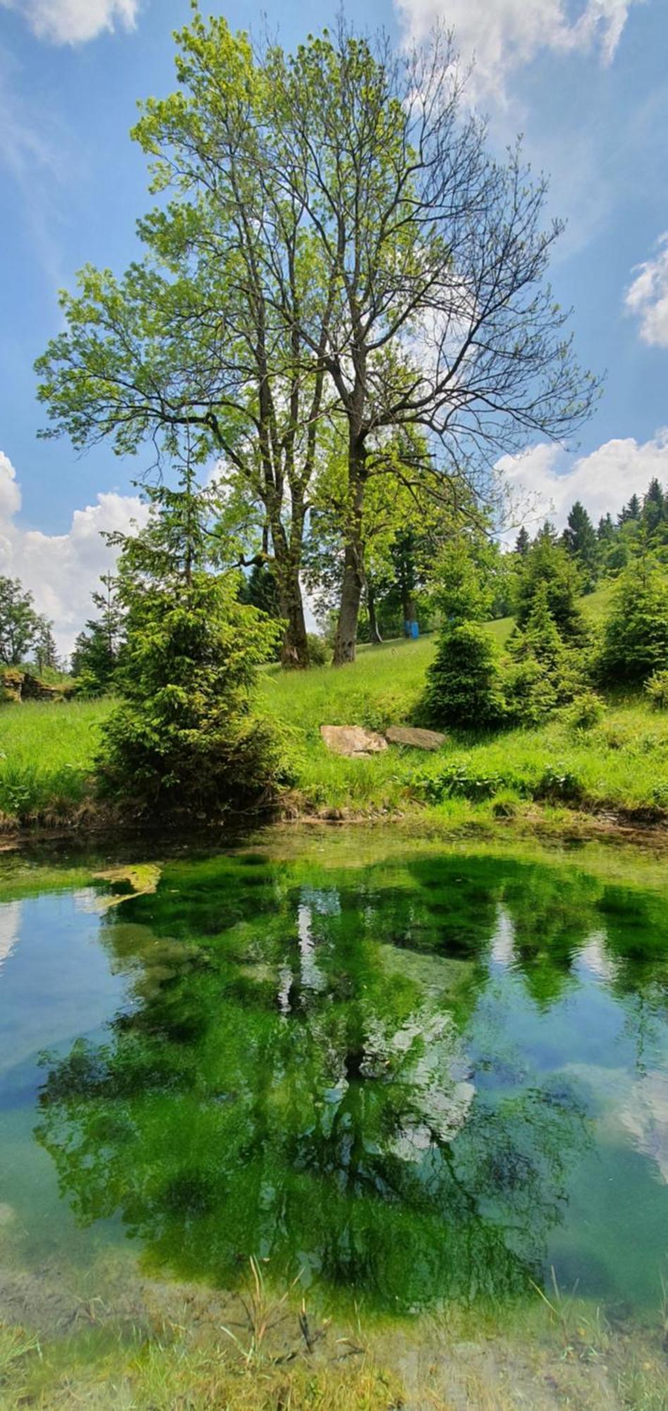 Chata Zieleniecka Bed and Breakfast Duszniki Zdrój Eksteriør billede