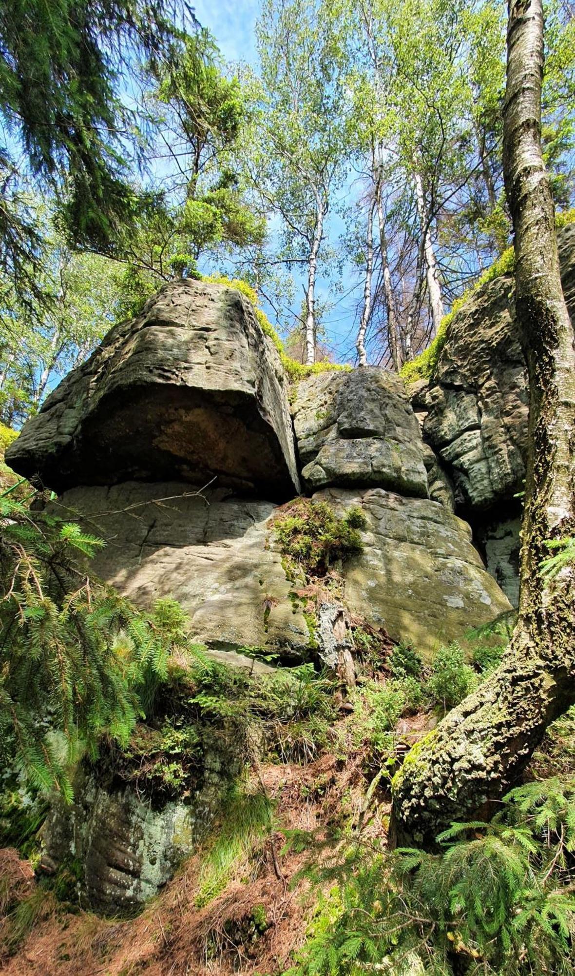 Chata Zieleniecka Bed and Breakfast Duszniki Zdrój Eksteriør billede